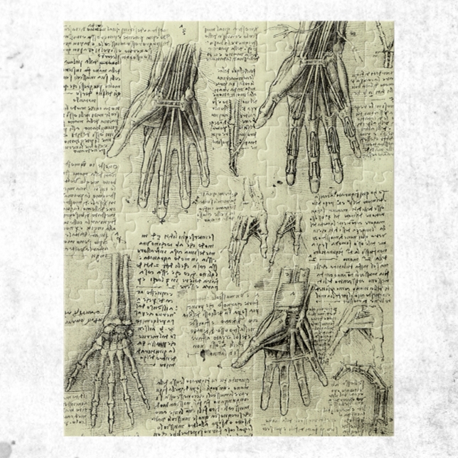 Quebra-cabeça Anatomia da Mão Humana por Leonardo da Vinci